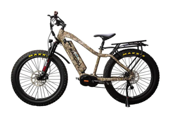 1000W ebikes for sale online