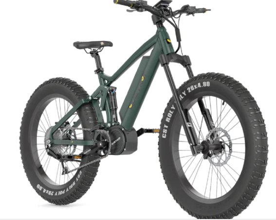 Quality 100w ebikes for sale
