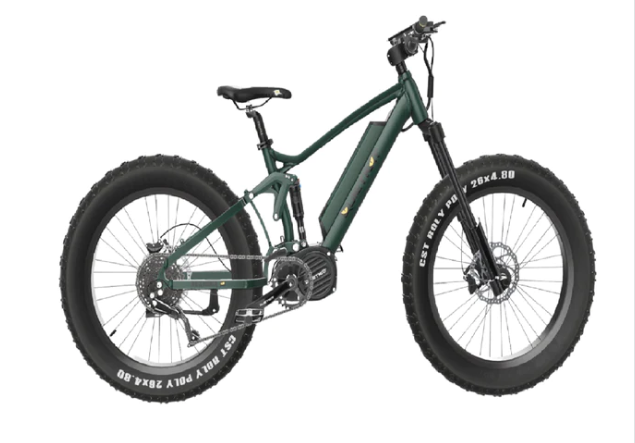1000W ebikes for sale online