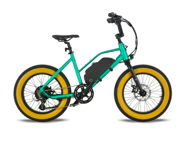 Electric Bikes For Sale In California