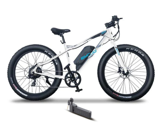 Best Winter ebikes for sale 