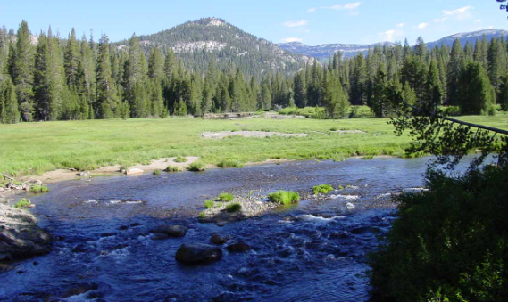  Best Camping Sites To Visit Californa US