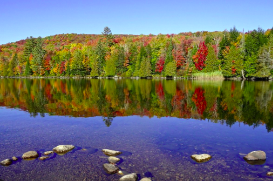 Best campgrounds in vermont