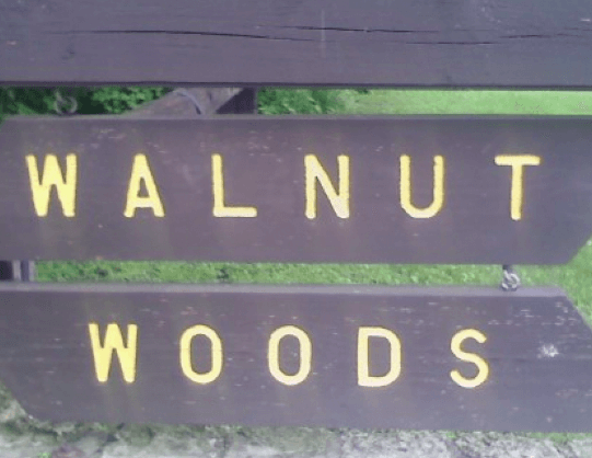 Walnut Woods State Park campground