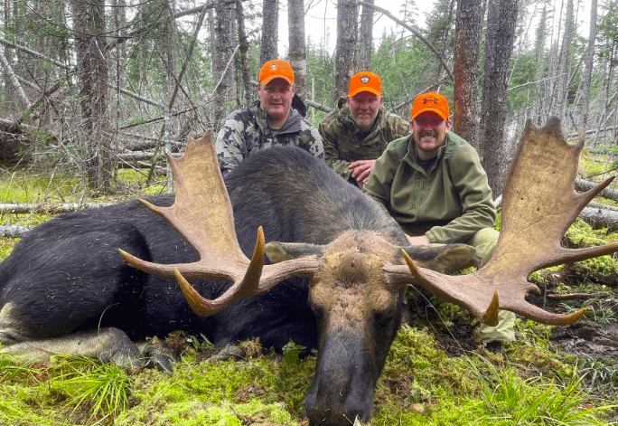 Moose Hunting Colorado