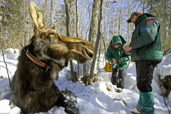 can you hunt in Alaska?