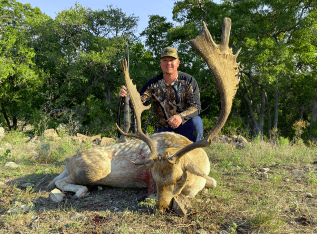 Fallow Deer Hunting Texas 