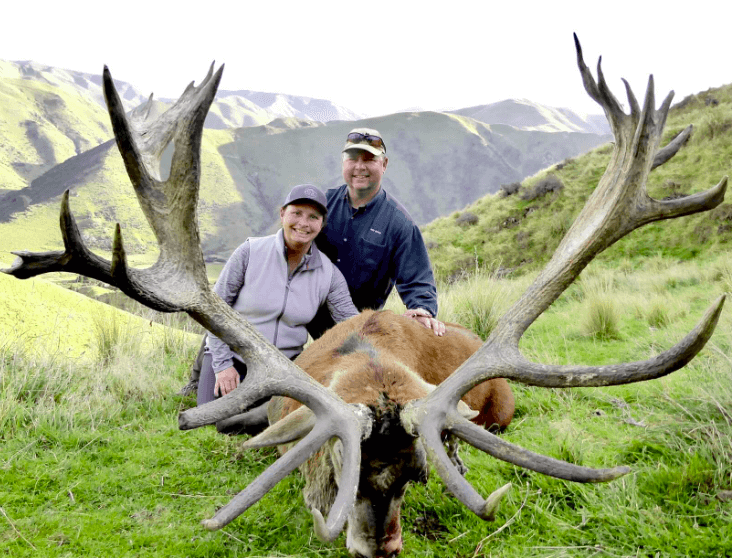 Red stag hunts in New Zealand