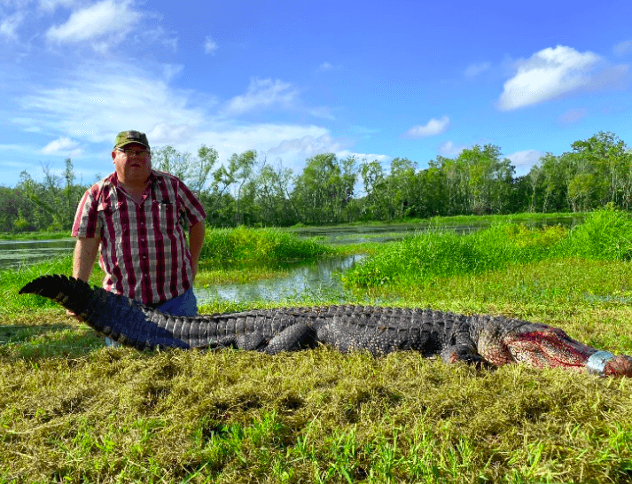 Alligator hunting Key Points To Know Before Hunting