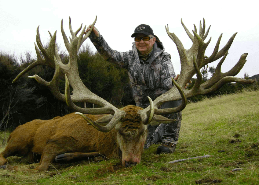 Red stag hunting seasons in New Zealand 