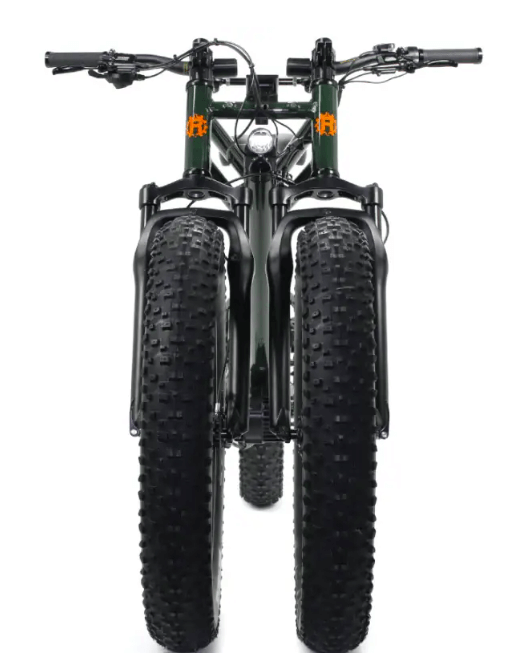 Best Value electric bike For Hunting