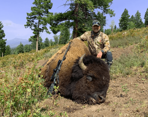 Best Bison hunting states