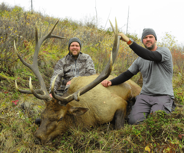 Utah Elk Guided Hunt