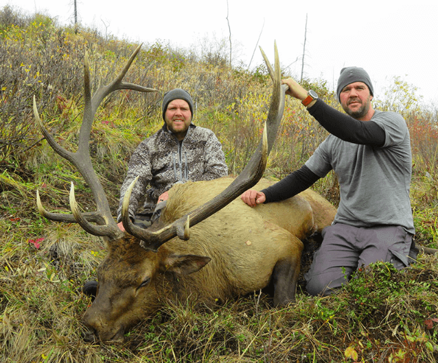 Elk Hunts in Texas