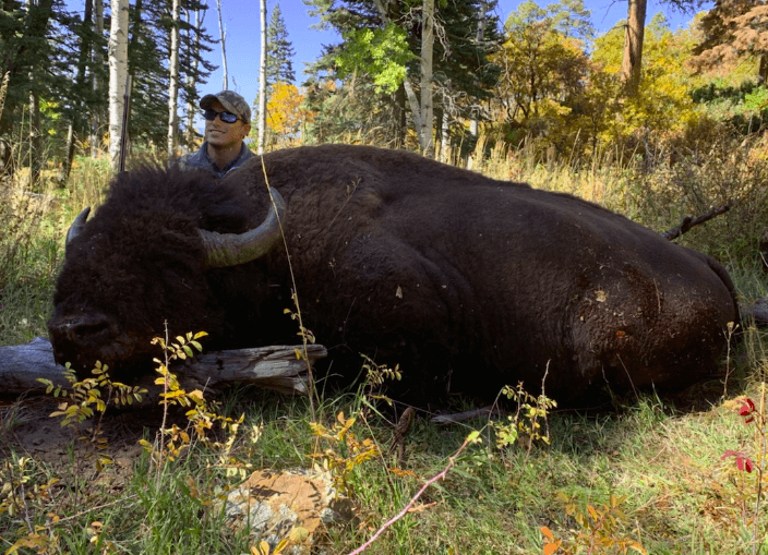 Bison hunting states