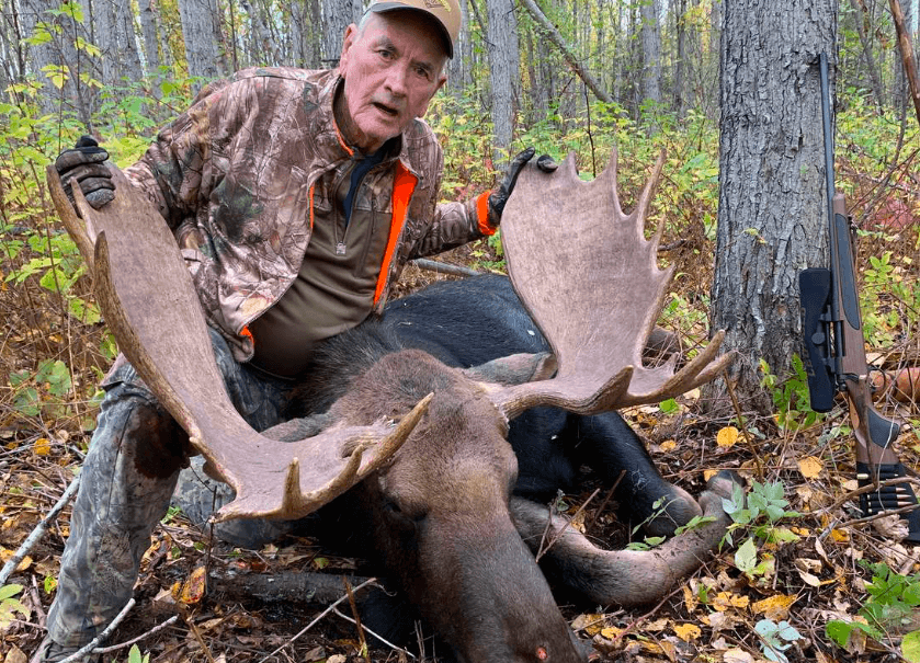 moose hunts alberta