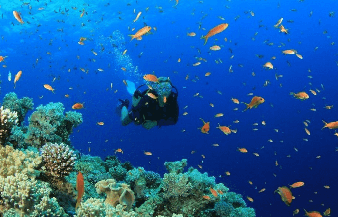 Cape Kamenjak scuba diving