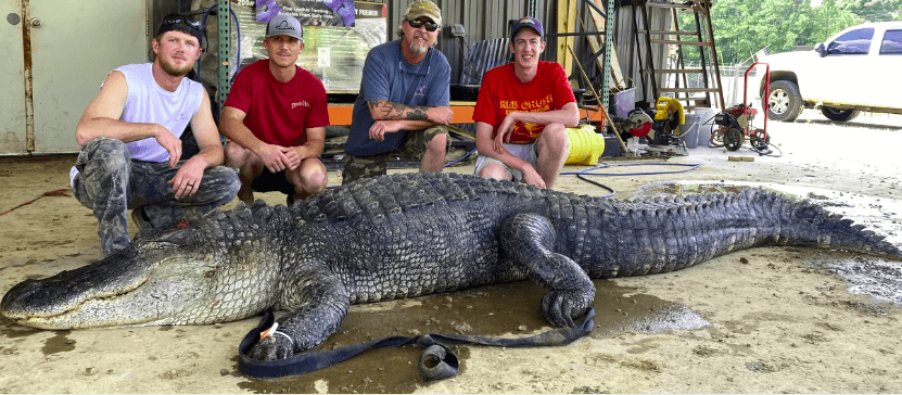 Alligator hunting in Mississippi