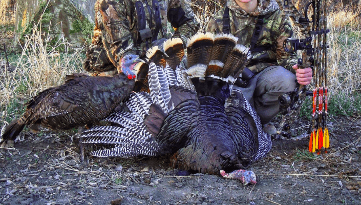 Arkansas Turkey Hunting Seasons