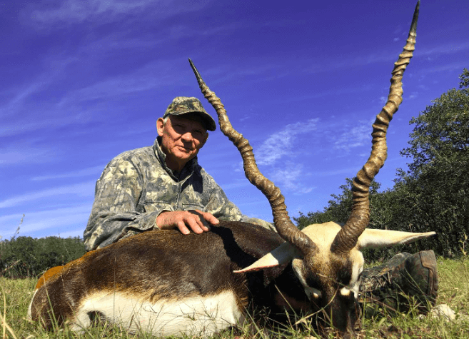Blackbuck Hunting texas