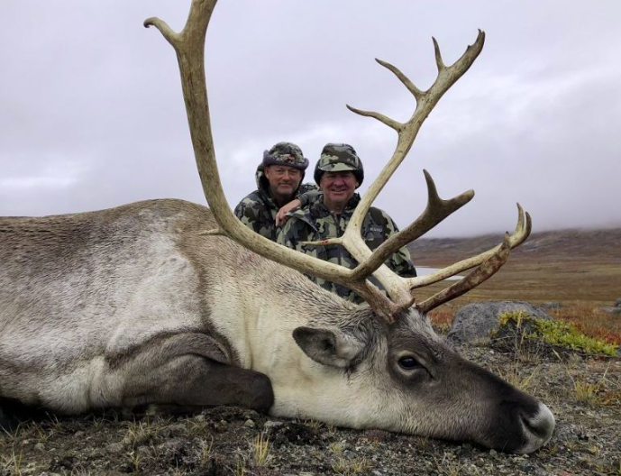  caribou hunting Greenland